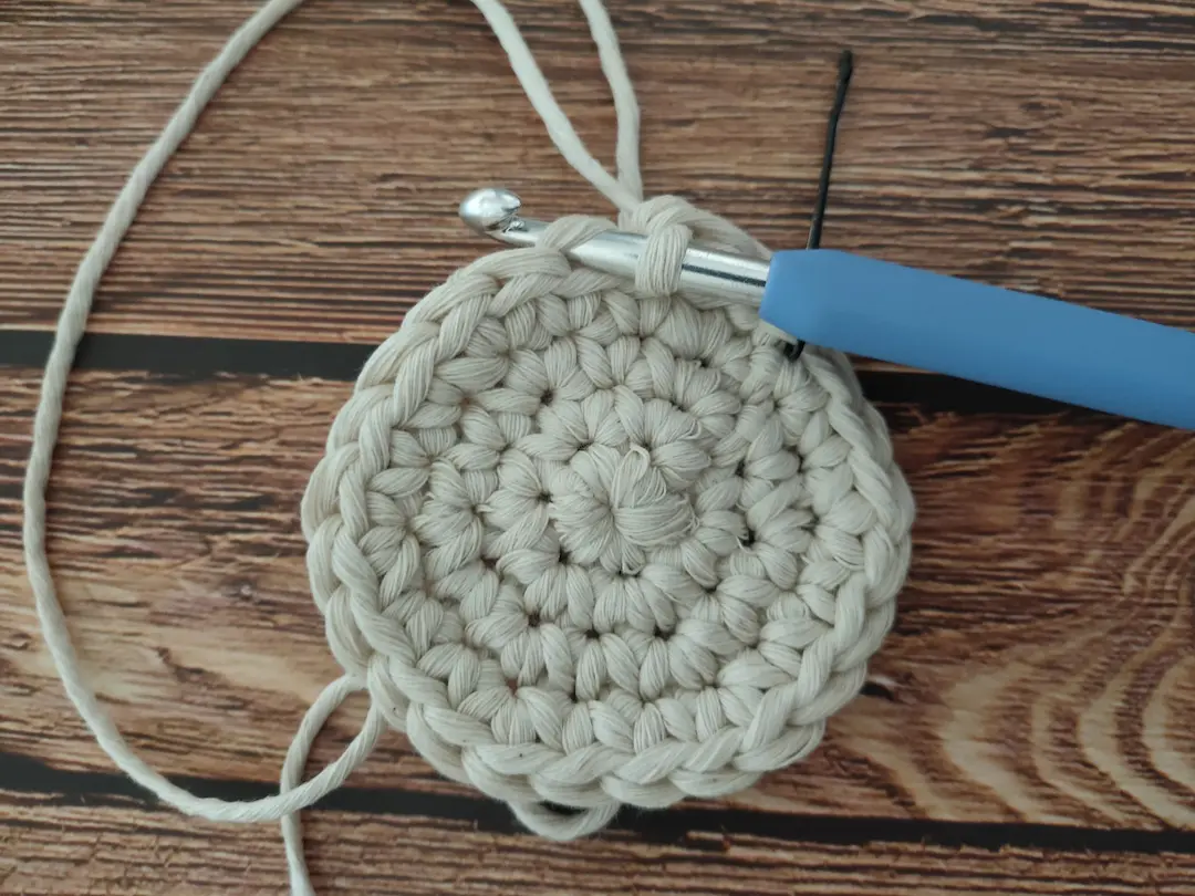 Round 4 Crochet bottle carrier