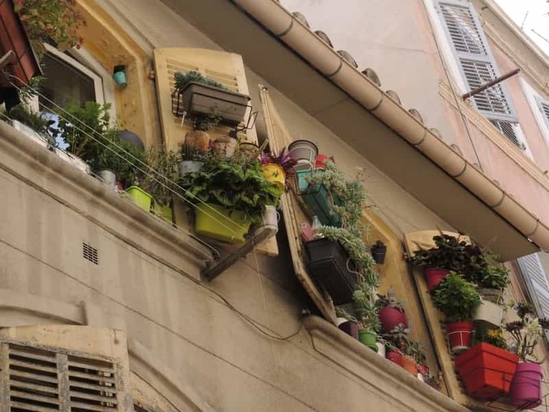 Windows with flowers in Marseille