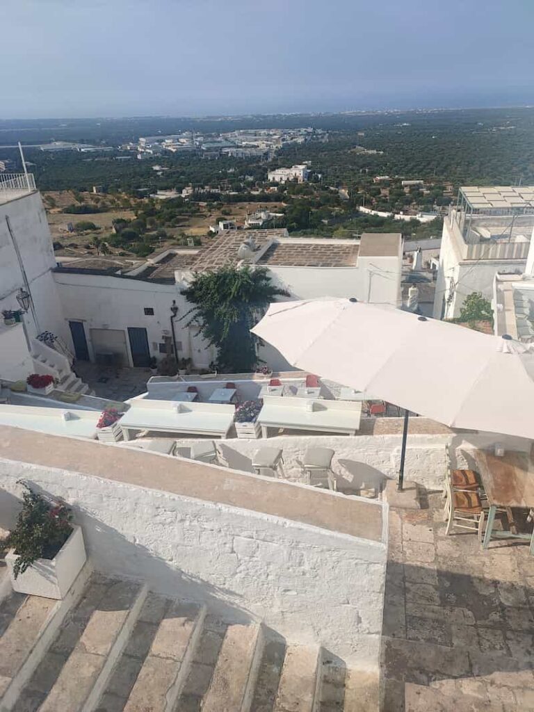 Olive groves seen from Ostuni