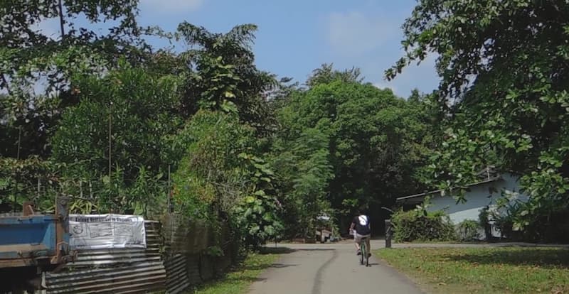 A man cycling in Pulau Ubin